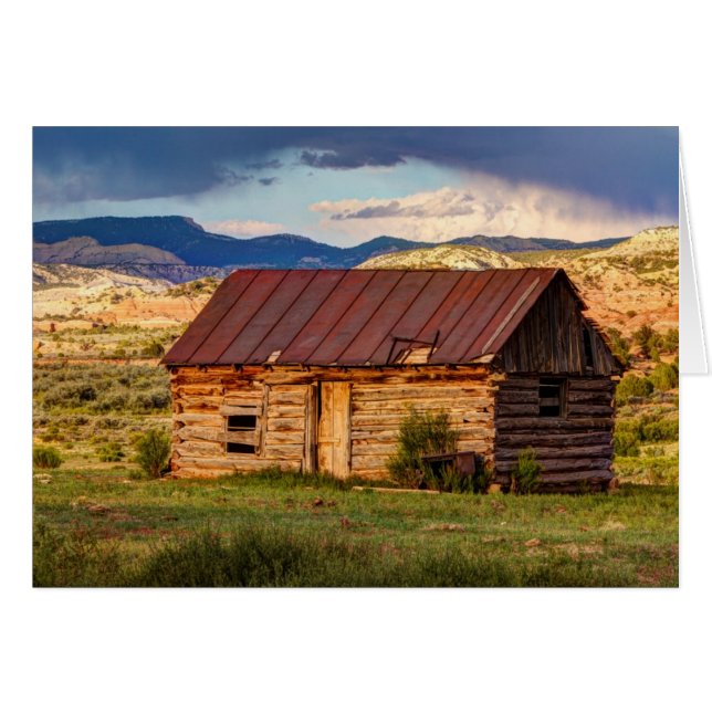 Weathering The Storm (Front Horizontal)