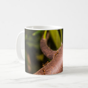 Weaver Ants on a Wood Coffee Mug