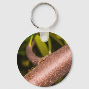 Weaver Ants on a Wood Key Ring