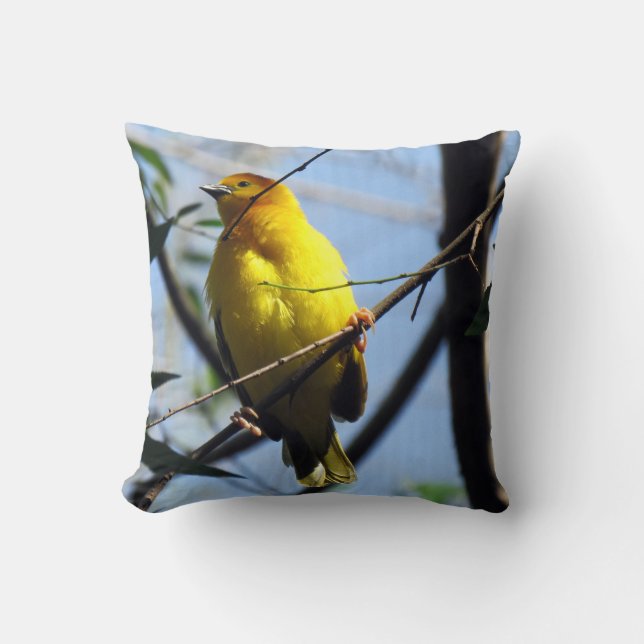 Weaver Bird Pillow (Front)