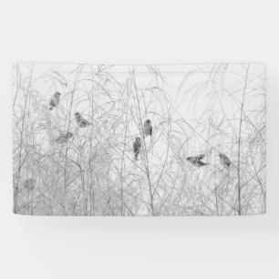 Weaver Birds Banner