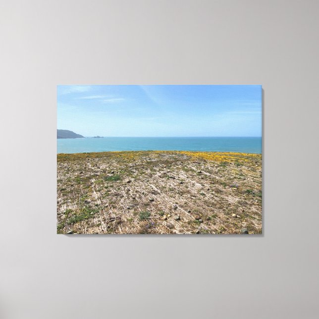 Weaving Wildflowers Canvas Print (Front)