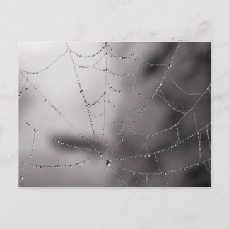 Web drops postcard