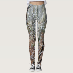 Web of European Garden Spider Leggings