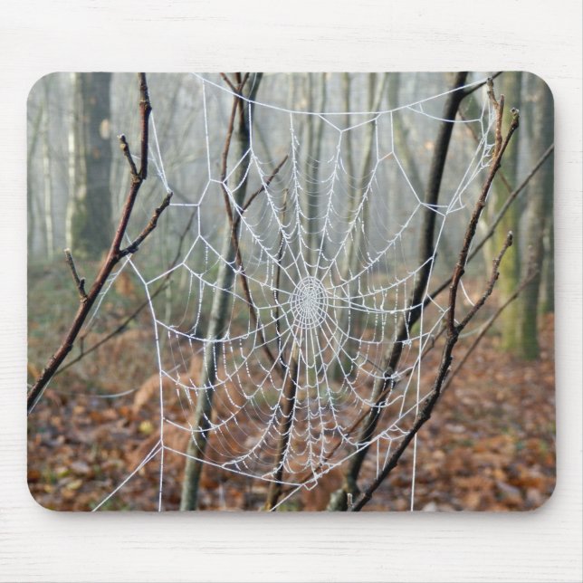 Web of European Garden Spider Mpuse Mat Mouse Mat (Front)