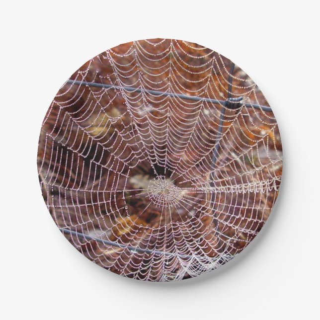 Web of European Garden Spider Paper Plate (Front)