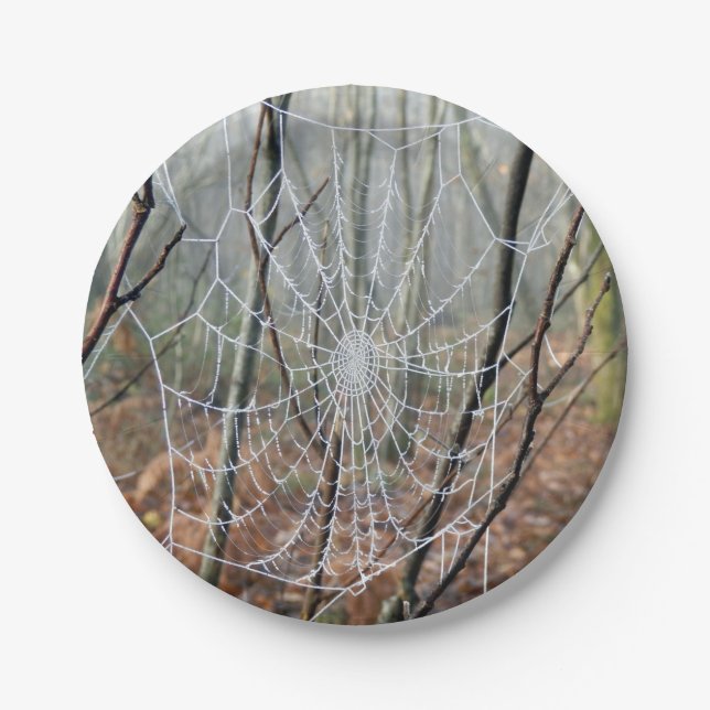 Web of European Garden Spider Paper Plate (Front)