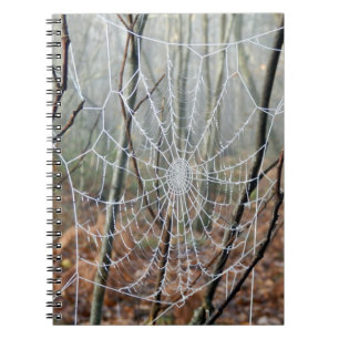 Web of European Garden Spider Photo Notebook