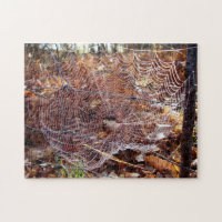 Web of European Garden Spider Photo Puzzle