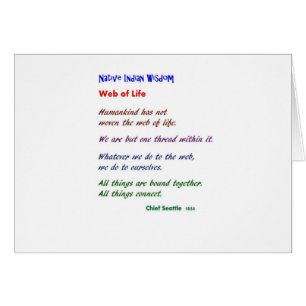 Web of Life : Native American Wisdom