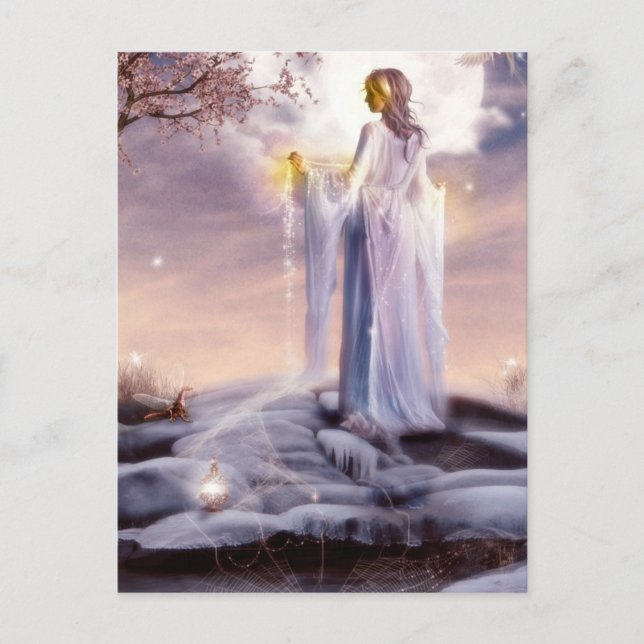 Web Weaver Post Card (Front)