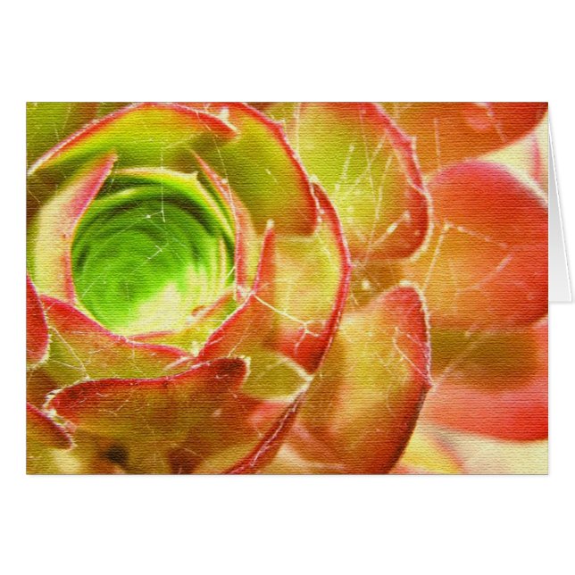 webbed succulents Card (Front Horizontal)