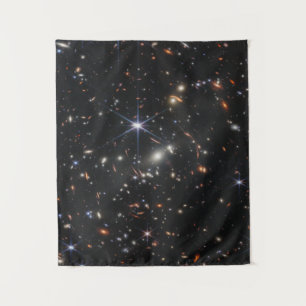 Webb's First Deep Field View of the Universe Tapestry