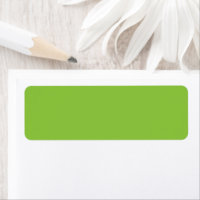 Website with a Green Background and White Border