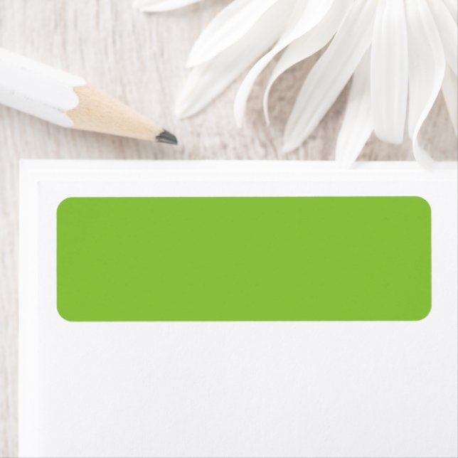 Website with a Green Background and White Border  (Insitu)