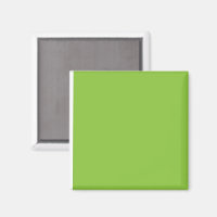 Website with a Green Background and White Border 