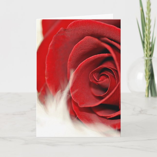 Wedding Anniversary Rose On Fur  Card (Front)