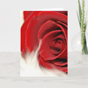 Wedding Anniversary Rose On Fur  Card