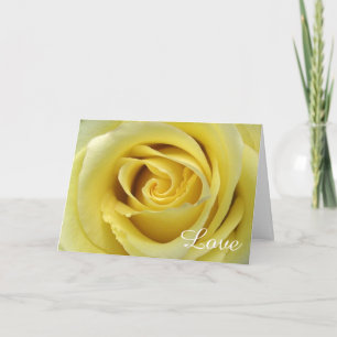 Wedding Anniversary Yellow Rose Photograph Card
