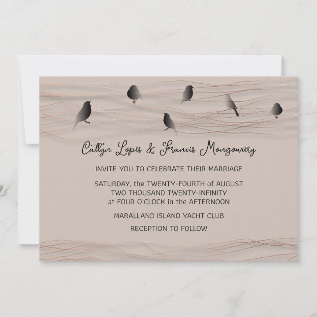 Wedding Black Rose Blush Delicate Lines Birds  Invitation (Front)