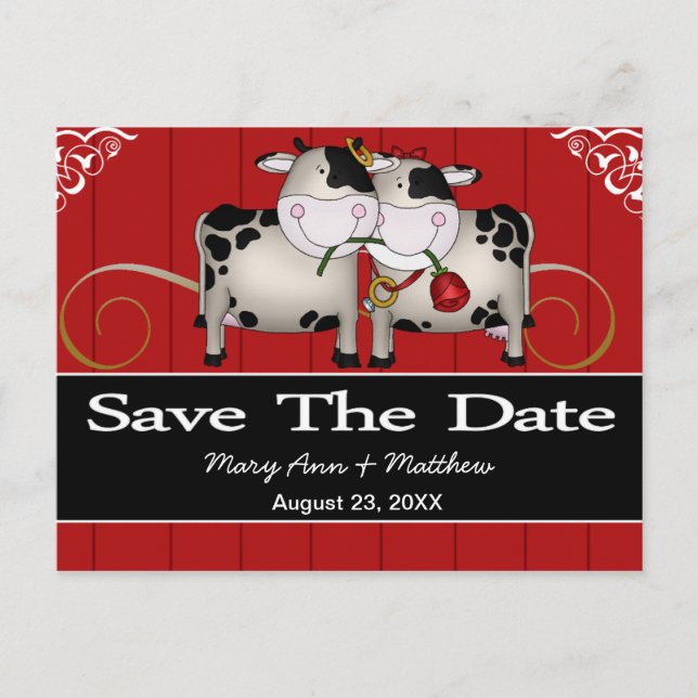Wedding Cows Save the Date Postcard (Front)