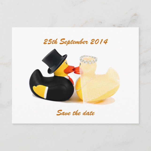 Wedding ducks 2 ... Postcard (Front)