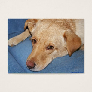 Wedding Favour (Sample) Card