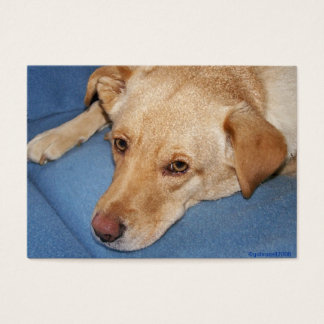 Wedding Favour (Sample) Card