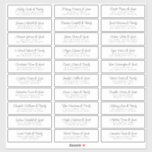 Wedding Guest Names Address Chic Modern Simple<br><div class="desc">Composed of simple sans serif and modern serif typography. These elements are simple,  elegant,  and modern. This has 30 stickers. 
 
 This is designed by White Paper Birch Co. exclusive for Zazzle.
 
 Available here:
 http://www.zazzle.com/store/whitepaperbirch</div>