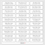 Wedding Guest Names Address Modern Simple Chic<br><div class="desc">Composed of simple sans serif and modern serif typography. These elements are simple,  elegant,  and modern. This has 30 stickers. 
 
 This is designed by White Paper Birch Co. exclusive for Zazzle.
 
 Available here:
 http://www.zazzle.com/store/whitepaperbirch</div>