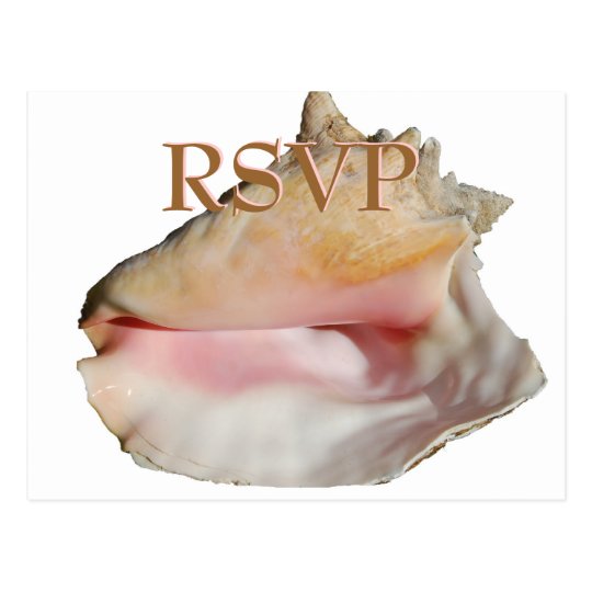 Wedding Guests RSVP Conch Seashell Postcard