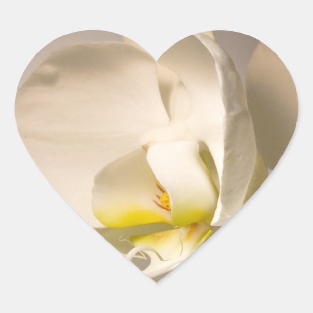 Wedding Hearts White Orchid Envelope Seal Event We (Front)