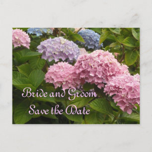 Wedding Hydrangeas Save the Date Announcement Postcard