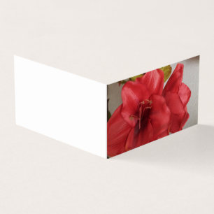 wedding invitation amaryllis red flat card