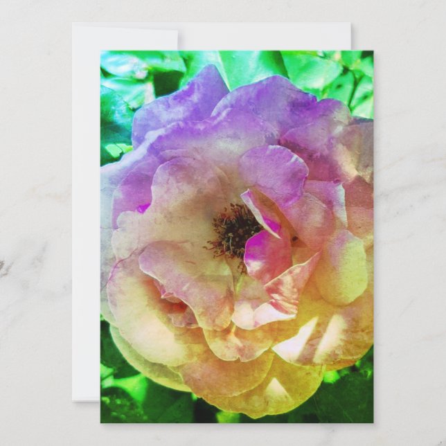 WEDDING INVITATION Flat Card BEAUTIFUL ROSE STYLE (Front)