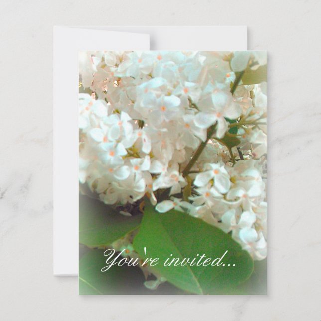 Wedding Invitation - White Lilacs (Front)
