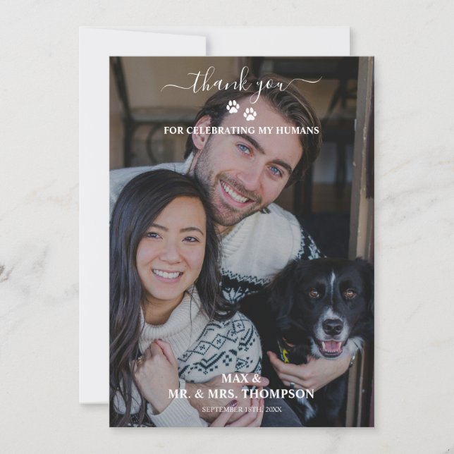 Wedding Modern Photo Couple Pet Dog My Humans  Thank You Card (Front)