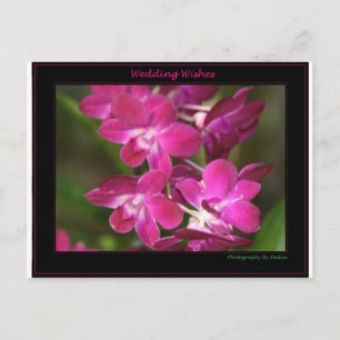 Wedding one postcard