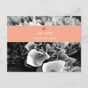 Wedding or Event Planner Marketing Postcard