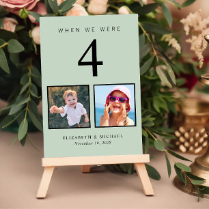 Wedding Photo Fun Sage Green Table Number