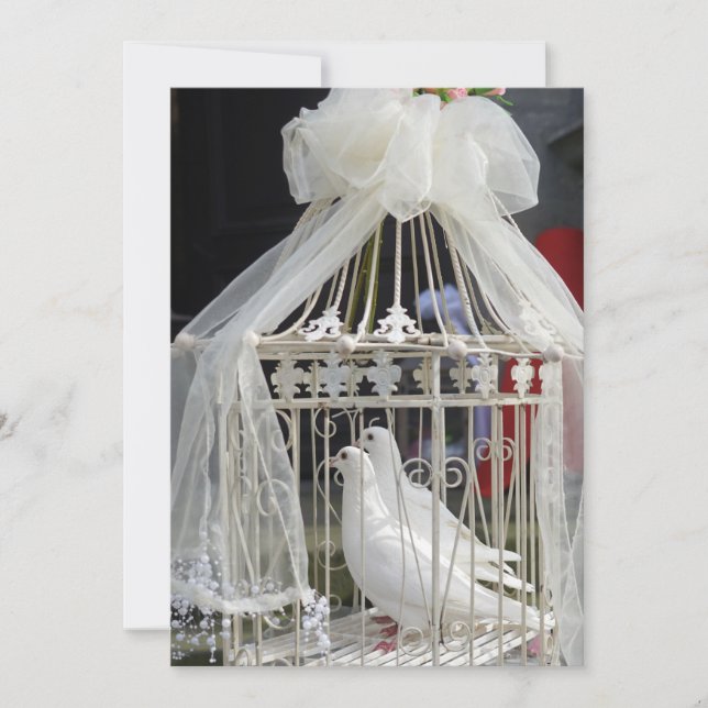 Wedding pigeon waiting for bride invitation (Front)