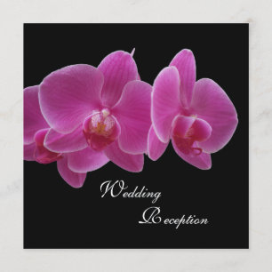 Wedding Reception Only Invitation -- Orchids