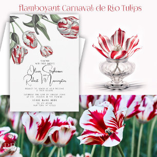 Wedding   Red and White Rembrandt Tulips Invitation