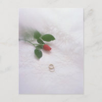 Wedding Rings Pillow