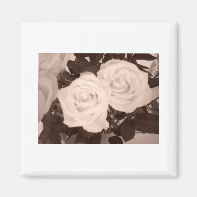 Wedding Roses Magnet (Front)