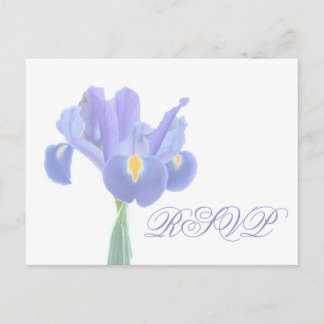 Wedding RSVP Iris Postcards