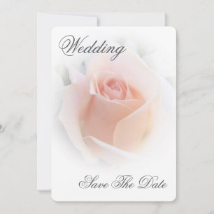 Wedding Save The Date Peach Pink Rosebud