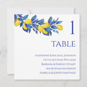 Wedding Seating Chart- Mediterranean Invitation