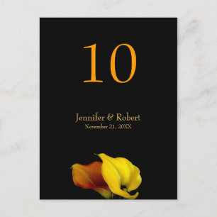Wedding Table Number Postcard