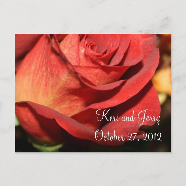 WEDDING TABLE TABLE NUMBER POSTCARD TEMPLATE (Front)